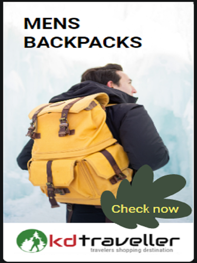 Mens Casual Backpacks
